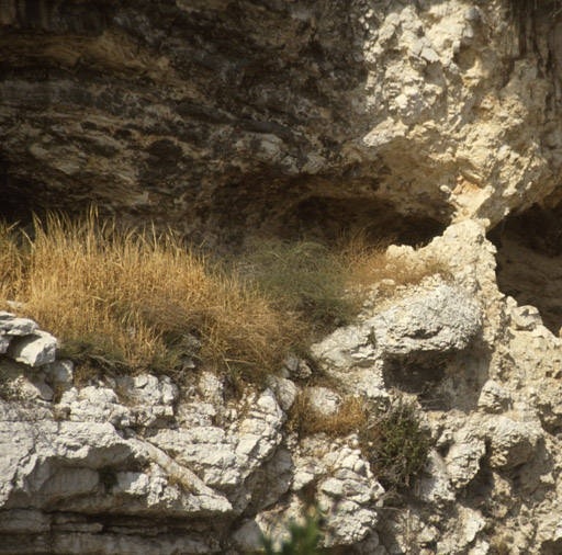 20130325-153756.jpg